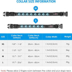 Rechargeable LED Dog Collar