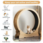 Cat Exercise Wheel, 46''