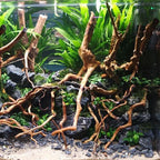 Aquarium Micro Landscape Driftwood