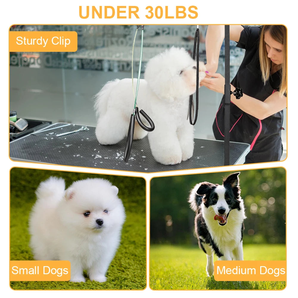 Pet Grooming Arm with Clamp
