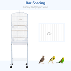 Bird Cage Starter Kit
