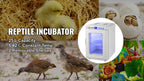 25L Reptile Incubator Scientific Lab