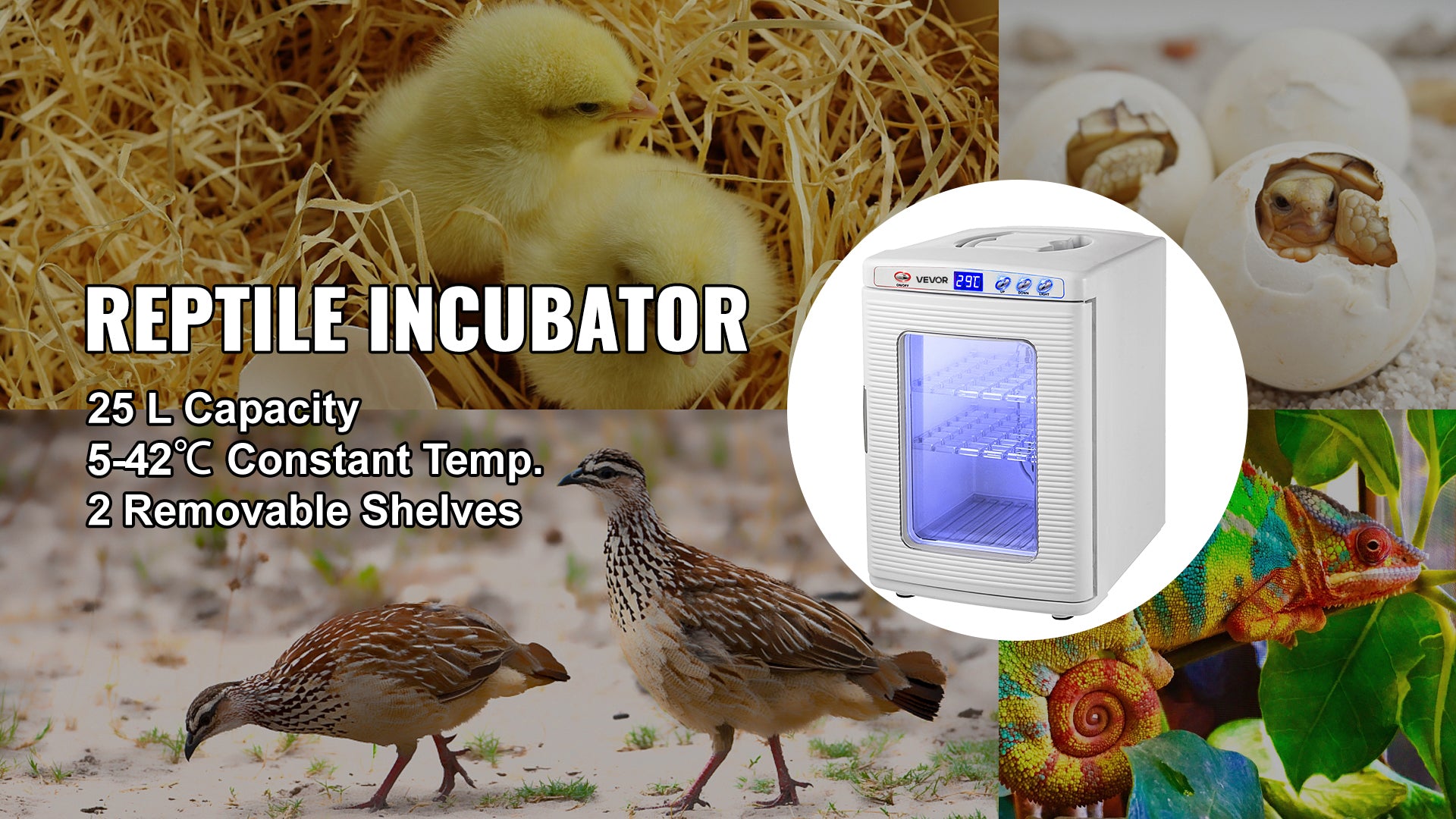 25L Reptile Incubator Scientific Lab