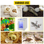 25L Reptile Incubator Scientific Lab